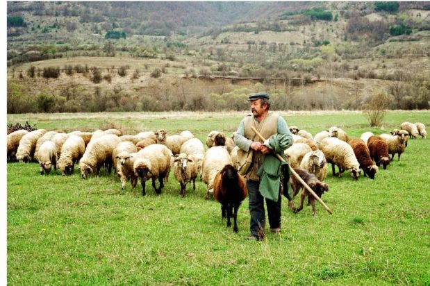 κτηνοτρόφοι