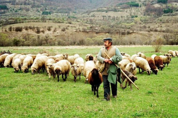 κτηνοτρόφοι