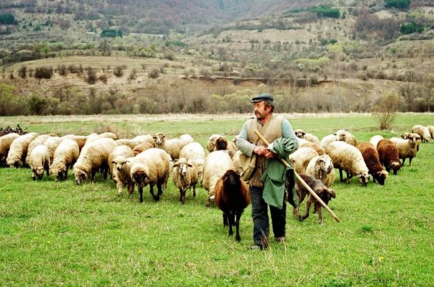 κτηνοτρόφοι