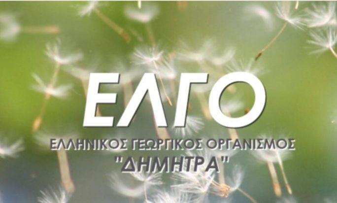 ΕΛΓΟ