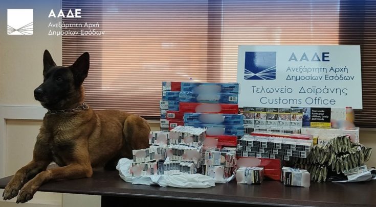 Τα σκυλιά της ΑΑΔΕ μύρισαν… μέχρι και παράνομα μετρητά - Τι έδειξαν οι τελωνειακοί έλεγχοι στο α’ τρίμηνο 2025