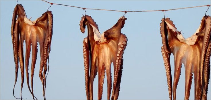ψάρια