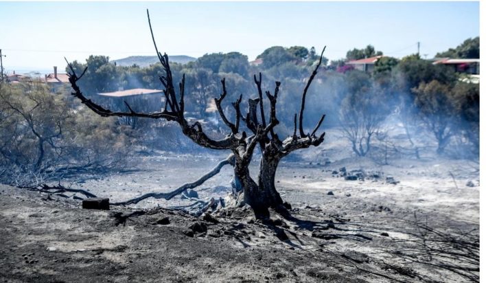 πυρόπληκτοι