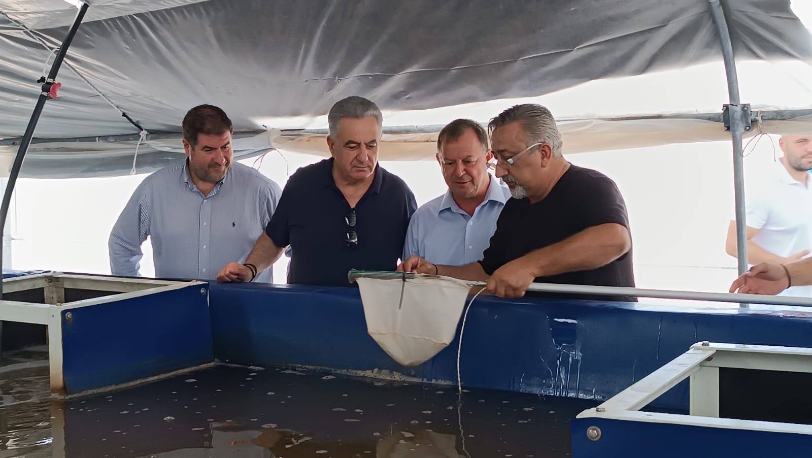 Καββαδάς, Θεσπρωτία