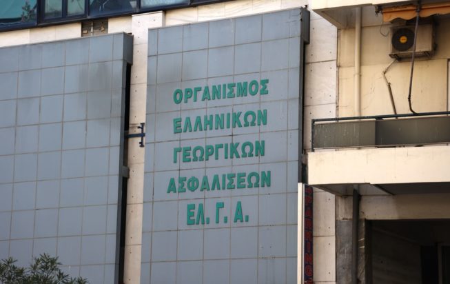 ΕΛΓΑ: Προκαταβολή ύψους 5 εκατ. ευρώ πληρώνει σήμερα σε παραγωγούς – Ποιους αφορά