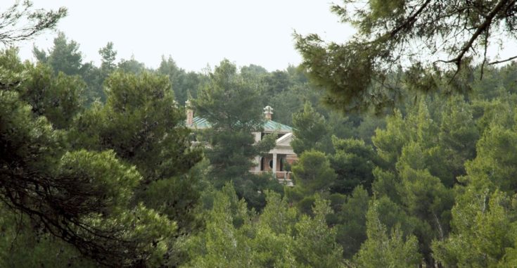 καταπατημένα